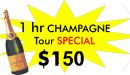 limo tour new york
